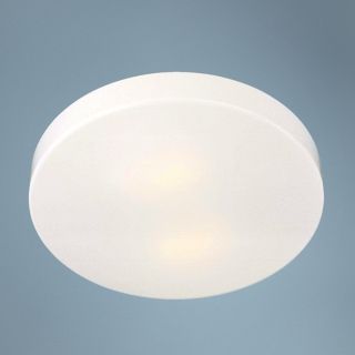 Round 14" Wide ENERGY STAR Ceiling Light Fixture   #59880