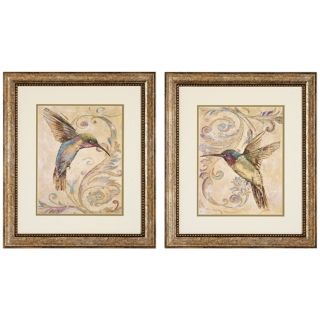 Set of 2 Hummingbird I/II Framed Bird Wall Art   #V6189