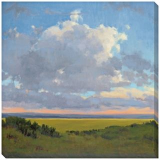 Afternoon Sky I Limited Edition Giclee 40" Square Wall Art   #L0476