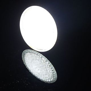 weißes Licht LED Lampe (180 250V), alle Artikel Versandkostenfrei