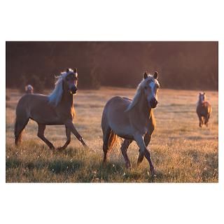 Haflinger horses in front of a morning landscape Poster