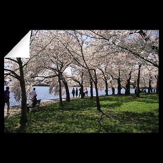 Cherry Blossom Trees, Washington, D.C  National Geographic Art Store