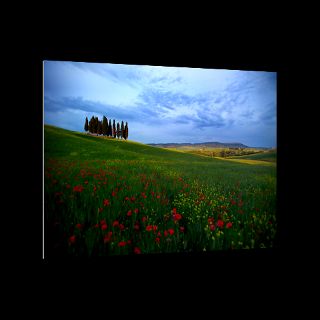 San Quirico DOrcia, Tuscany, Italy  National Geographic Art Store