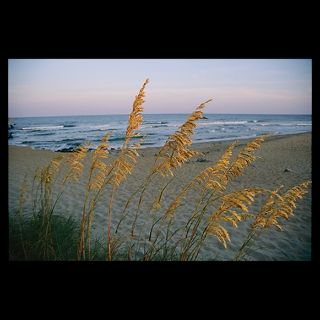 National Geographic Art Store  2011_12_20_8  Beach Scene