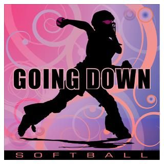 Softball Catcher Wall Decals  Softball Catcher Wall Stickers