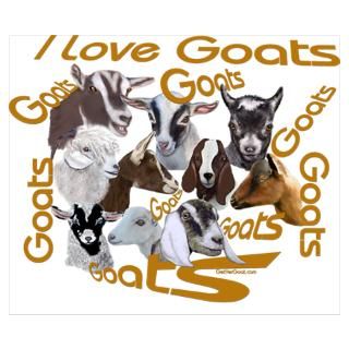 Wall Art  Posters  I love Goat Breeds Poster