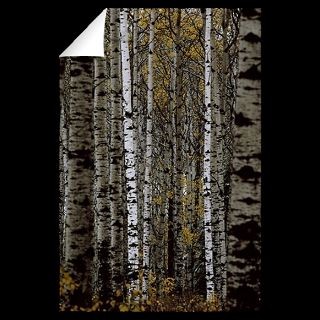 National Geographic Art Store  2011_12_20_9  Birch Trees