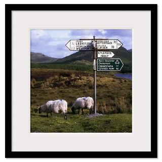 County Galway, Ireland, Road Sign Near Kylemore Ab Framed Print