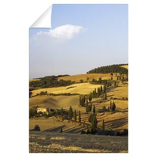 Wall Art  Wall Decals  Winding Road with Cypress