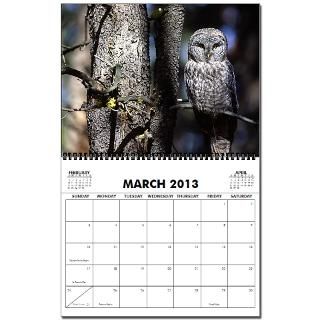 Owl 2013 Wall Calendar by tjcreations