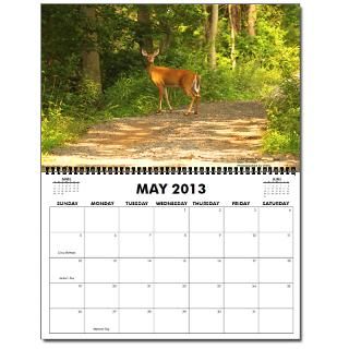 Nothing But Deer Oversized 2013 Wall Calendar by visionsofnature