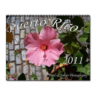 2011 Gifts  2011 Home Office  Puerto Rico 2011 Calendar