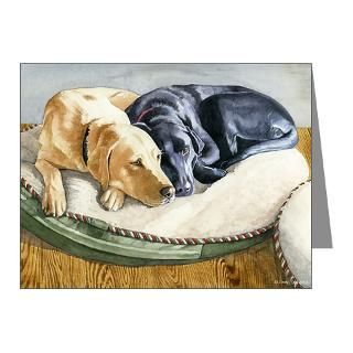  Akc Breeds Note Cards  Faithful Friends Note Cards (Pk of 10
