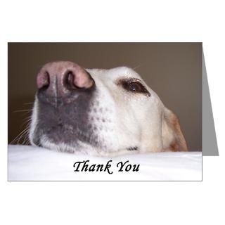 Greeting Cards  Yellow Labrador Rescue Dog Thank You Cards (10
