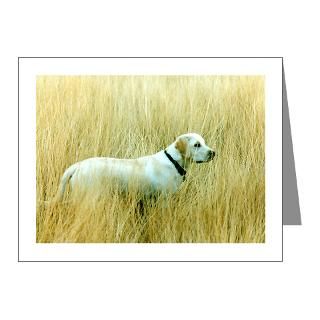  Dog Note Cards  Yellow Lab Tall Grass Note Cards (Pk of 10