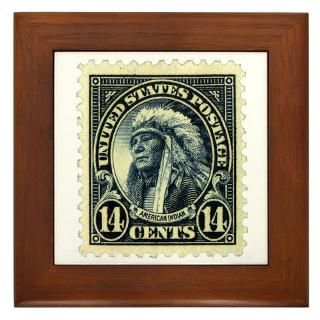 American Indian 14 cent Stamp  Smithsonian Museum T Shirts, Posters