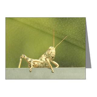 Art Gifts  Art Note Cards  Grasshopper Note Cards (Pk of 20)