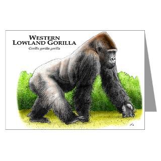 Mountain Gorilla Greeting Cards (Pk of 20)