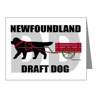 Black Newfoundland Note Cards  Draft Dog (DD) Note Cards (Pk of 20
