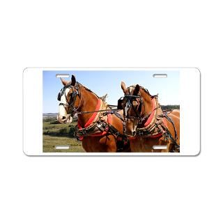 Belgian Draft Horse Car Accessories  Stickers, License Plates & More