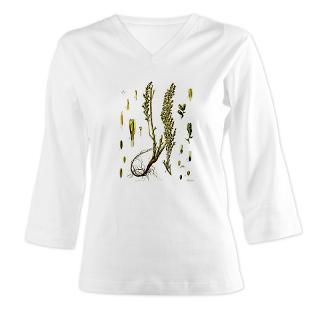 botanical sugarbeet 3 4 sleeve t shirt $ 34 99