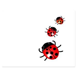 Ladybug Invitations  Ladybug Invitation Templates  Personalize