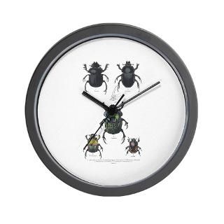 Beetle Clock  Buy Beetle Clocks