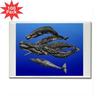 Sperm Whale Pod Rectangle Magnet (100 pack)