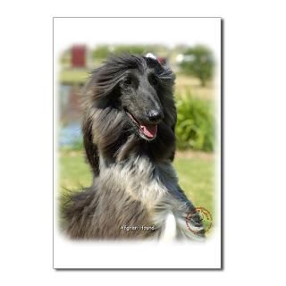 Afghan Hound 9P040D 65 Postcards (Package of 8) for $9.50
