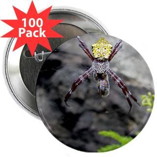 spider eating bee 2 25 button 100 pack $ 133 78