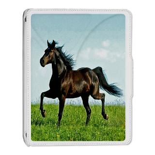 Horse iPad Cases  Horse iPad Covers  