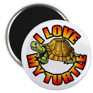 Turtle Magnets  The Turtle Box   From T Shirts To Bumper Stickers