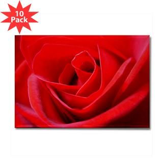 25 magnet 100 pk for valentine s $ 113 99 red rose romantic
