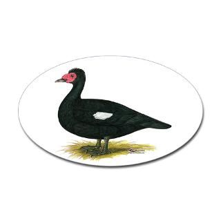 Duck Hunting Stickers  Car Bumper Stickers, Decals
