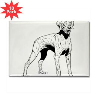 dogs Rectangle Magnet (10 pack)