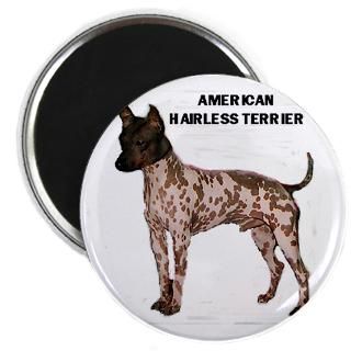 pac $ 25 49 american hairless terrier rectangle magnet 100 pa $ 164 99