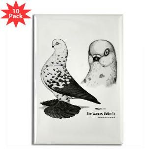 Warsaw Butterfly Pigeon  Diane Jacky On Line Catalog