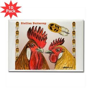 Sicilian Buttercup Chickens  Diane Jacky On Line Catalog