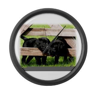 Labrador Pups 9Y415D 168 Large Wall Clock for $40.00