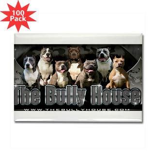 the bully house rectangle magnet 100 pack $ 168 99