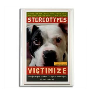 Stereotypes Victimize Rectangle Magnet