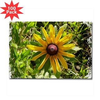 wild daisy flower rectangle magnet 100 pack $ 164 99