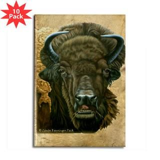 Buffalo Eating Rectangle Magnet (10 pack)