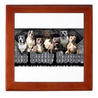 The Bully House Rectangle Magnet (100 pack)
