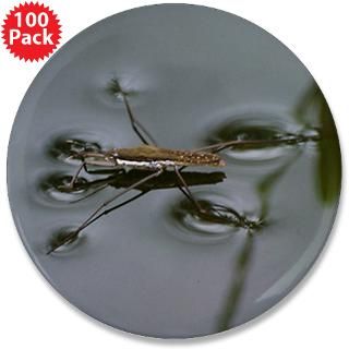 water strider 3 5 button 100 pack $ 169 99