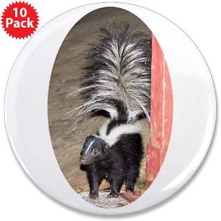 Little Skunk Big Tail  Trackers Tracking and Nature Store