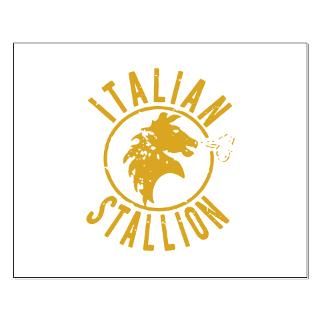 Rocky   Italian Stallion  Rametta Apparel   Italian T Shirts