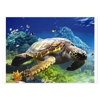 Sea Turtle Invitations  Sea Turtle Invitation Templates  Personalize