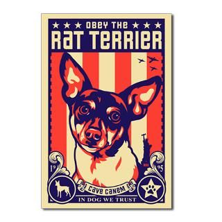 Rat Terrier  Obey the pure breed The Dog Revolution