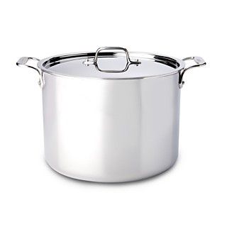 All Clad Stainless Steel Stockpot with Lid